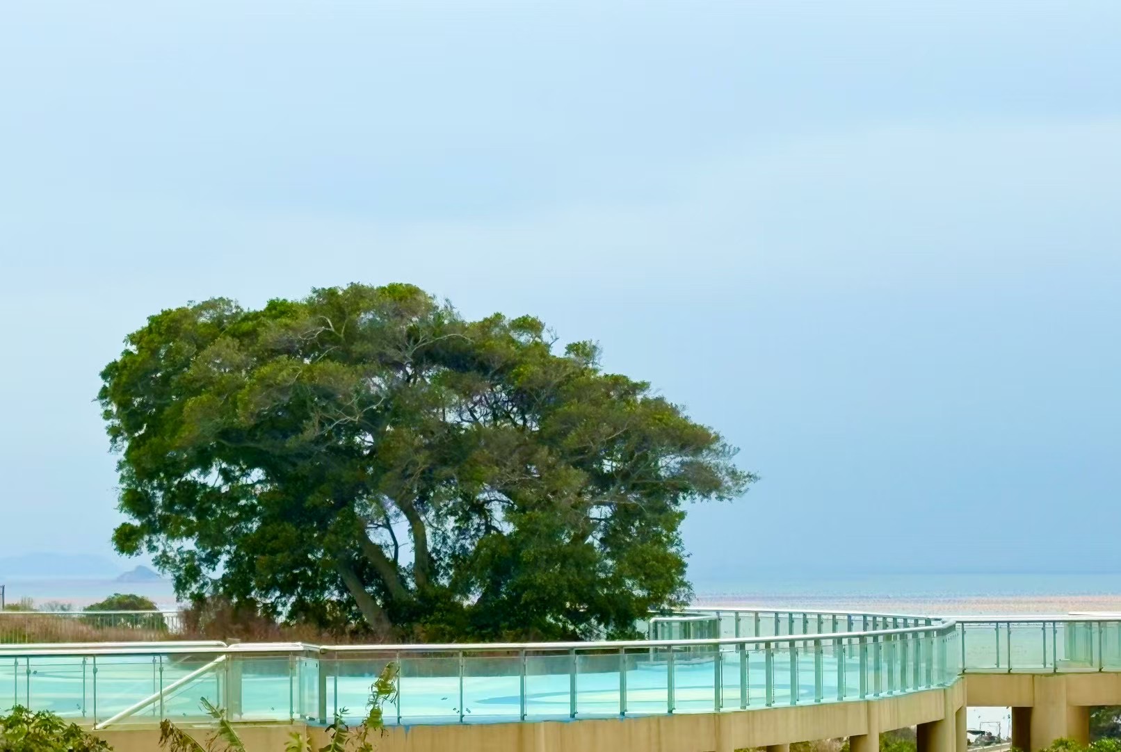 1741598295169799.jpg 微信圖片_20250304151047.jpg