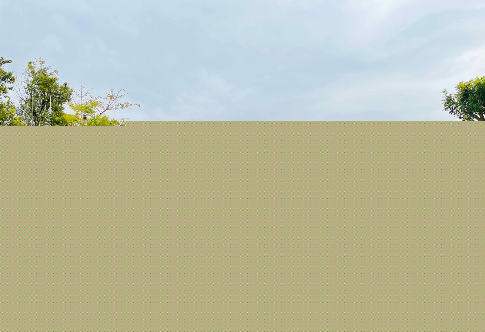 1741598426947795.jpg 微信圖片_20250304145337.jpg